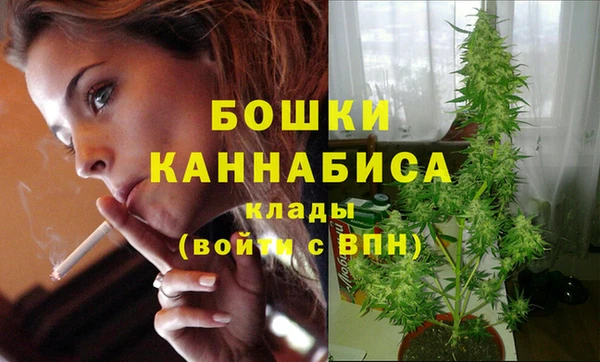 твердый Киренск